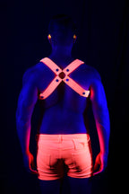 Circuit Harness
