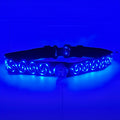 LED Waist Belt