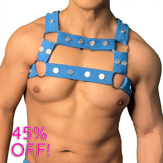 Circuit Harness