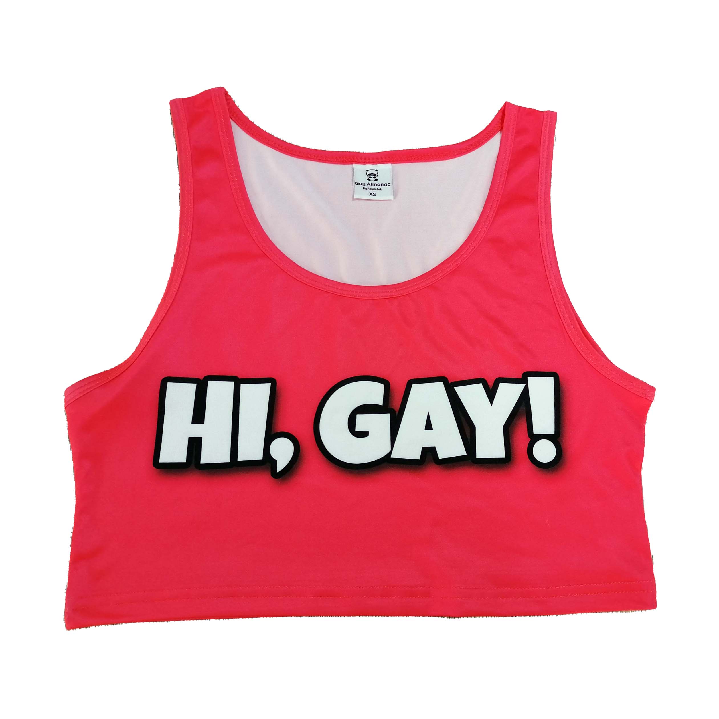 Hi, Gay! Crop Top