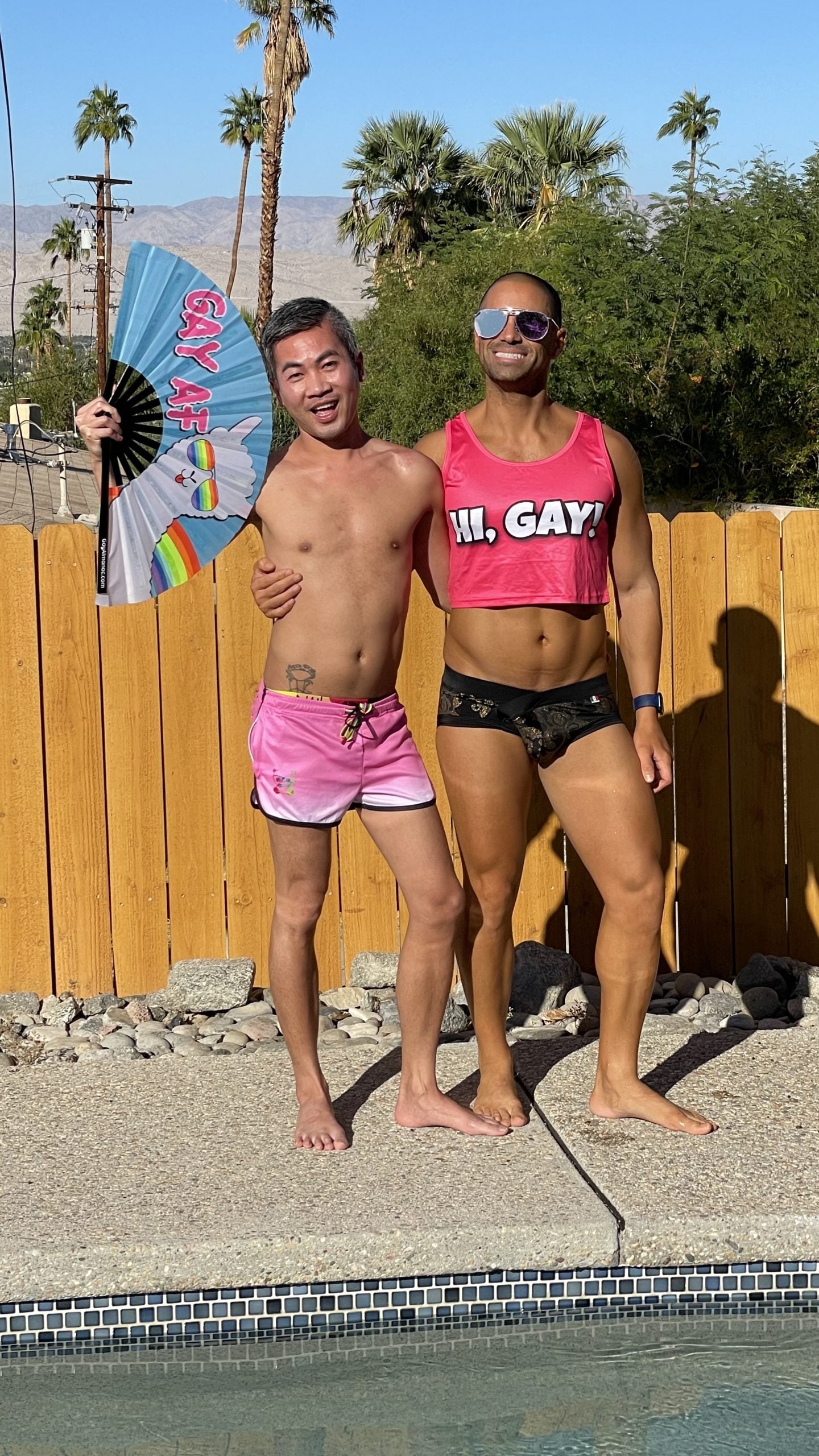 Hi, Gay! Crop Top