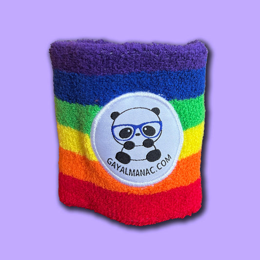 Panda Wrist Sweatband - Rainbow